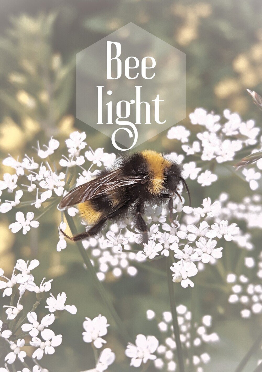 An image of Bee Light poster by LinTu.studio